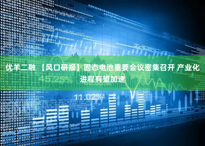 优羊二融 【风口研报】固态电池重要会议密集召开 产业化进程有望加速